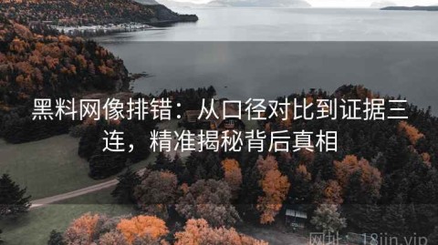 黑料网像排错：从口径对比到证据三连，精准揭秘背后真相