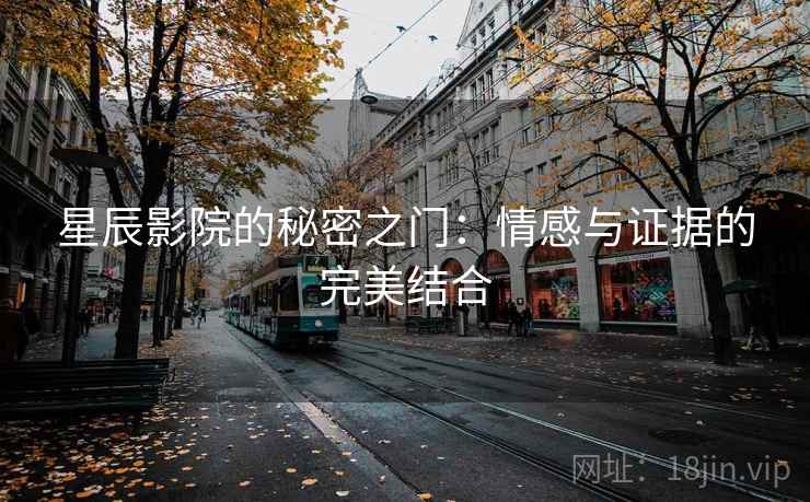 星辰影院的秘密之门：情感与证据的完美结合
