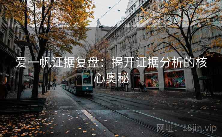 爱一帆证据复盘：揭开证据分析的核心奥秘