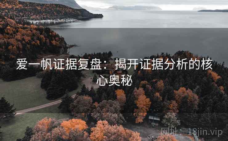爱一帆证据复盘：揭开证据分析的核心奥秘