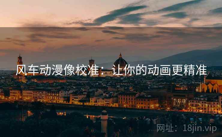 风车动漫像校准：让你的动画更精准